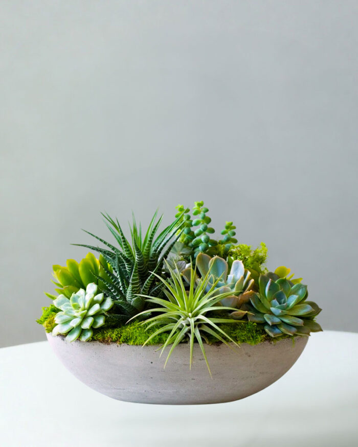 BC-Succulent-Dish-Garden-10.jpg