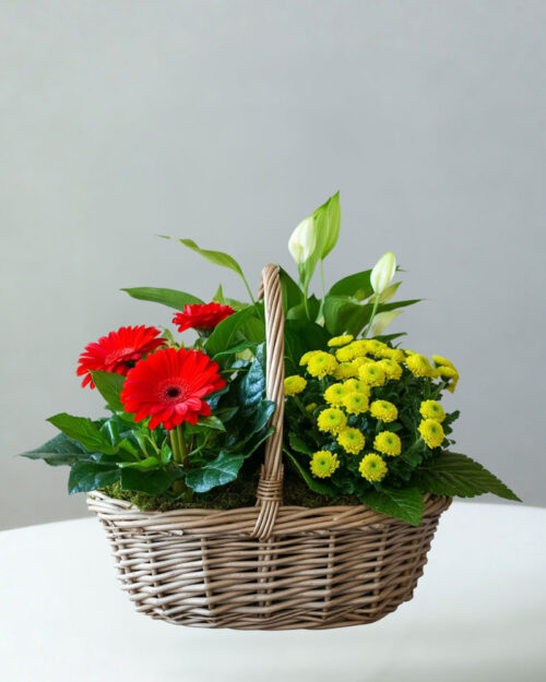 Flowering Basket